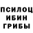 Псилоцибиновые грибы прущие грибы krishna kalal