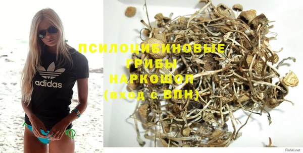 не бодяженный Белокуриха