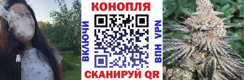 где можно купить наркотик  Светлый  Каннабис конопля 
